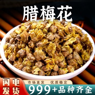 中药材梅花腊梅花黄梅花蜡梅花安国中药材批发