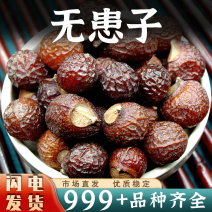去核无患子肉中药材无患子皮洗手果肥皂果安国中药材批发