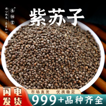 中药材紫苏子批发苏子黑苏子生紫苏籽安国中药材批发