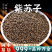 中药材紫苏子批发苏子黑苏子生紫苏籽安国中药材批发