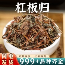 杠板归中药材杠板归新鲜干货别名蛇倒退河白草安国中药材批发