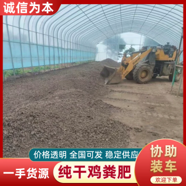【纯风干鸡粪】鸡粪肥/鸡粪干/鸡粪块/干鸡粪/纯干无杂质