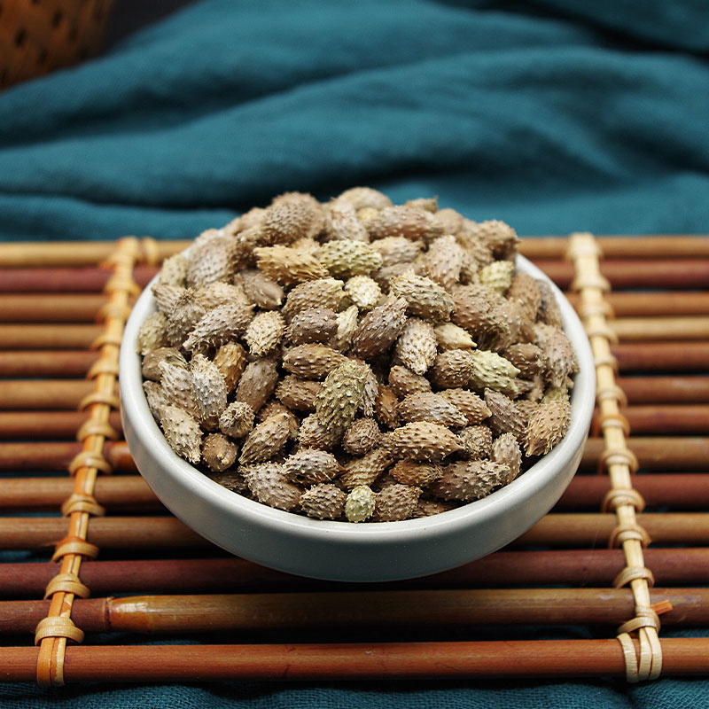 苍耳子中药材批发正品去刺苍耳子仓耳泡茶安国中药材批发