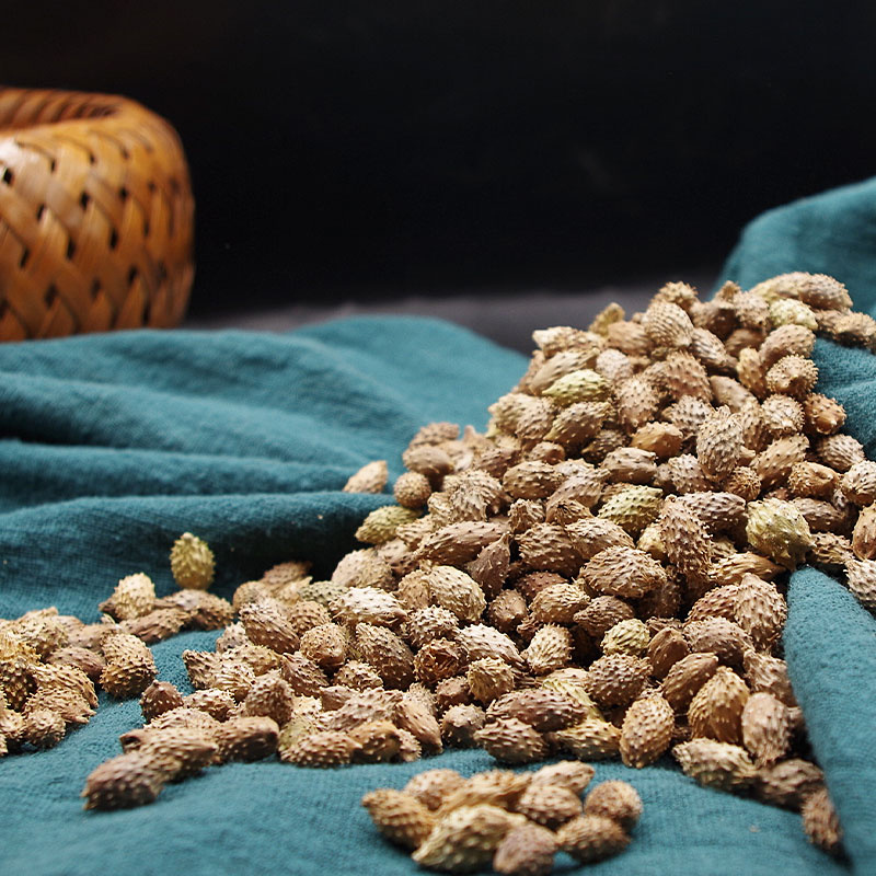 苍耳子中药材批发正品去刺苍耳子仓耳泡茶安国中药材批发