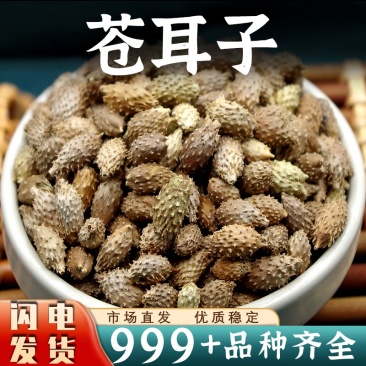 苍耳子中药材批发正品去刺苍耳子仓耳泡茶安国中药材批发