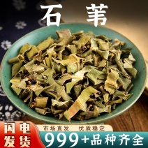 石韦中药材石伟别名石伟正宗石韦草安国中药材批发