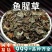 农家鱼腥草中药材新鲜鱼腥草干鱼腥草折耳根泡水喝干货批发