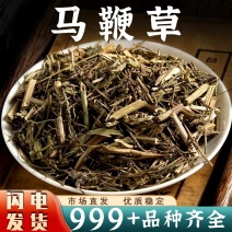 马鞭草中药材批发泡水新鲜晒干铁马鞭马边草马边草马鞭梢