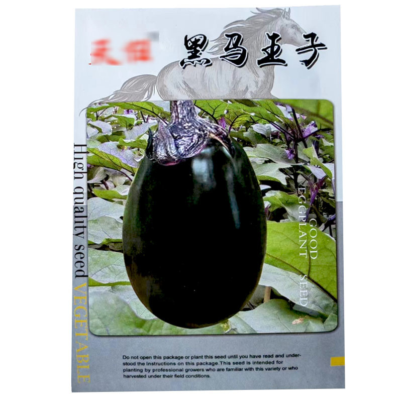 黑马王子茄子种子紫罐茄黑色黑亮中早熟抗病春秋栽培
