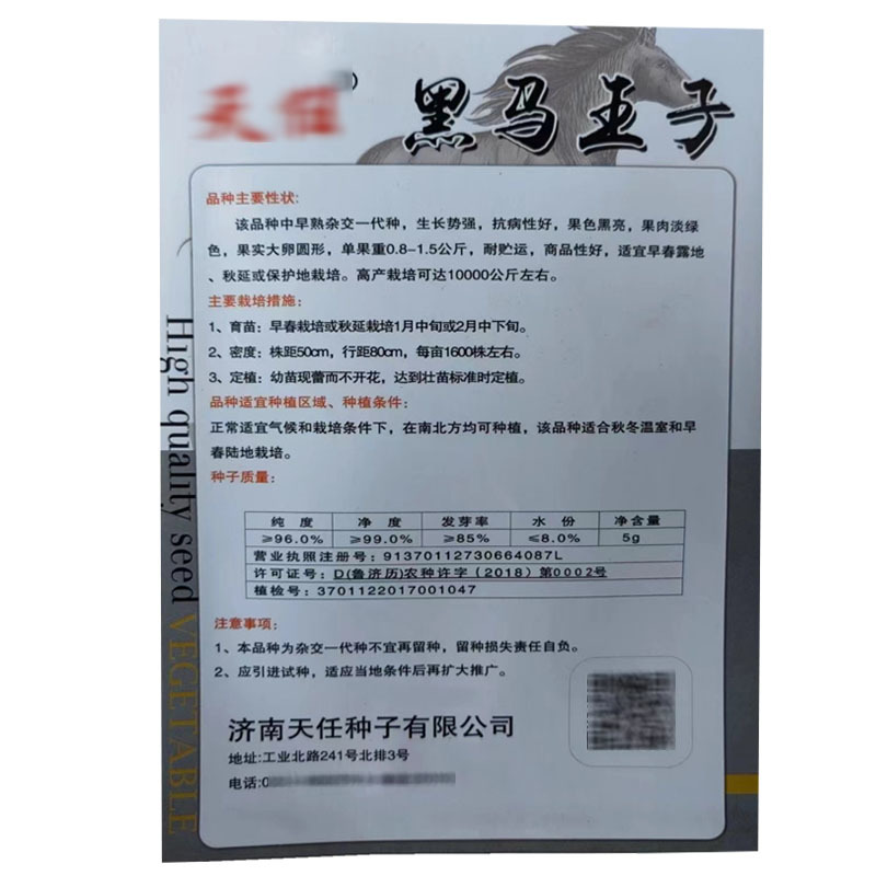 黑马王子茄子种子紫罐茄黑色黑亮中早熟抗病春秋栽培