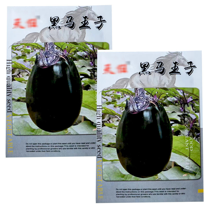 黑马王子茄子种子紫罐茄黑色黑亮中早熟抗病春秋栽培