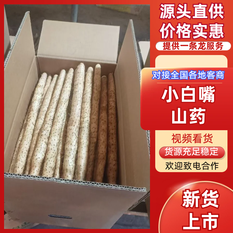 河北原产地双棒山药原生态沙土耕种软糯香甜多规格蔬菜批发