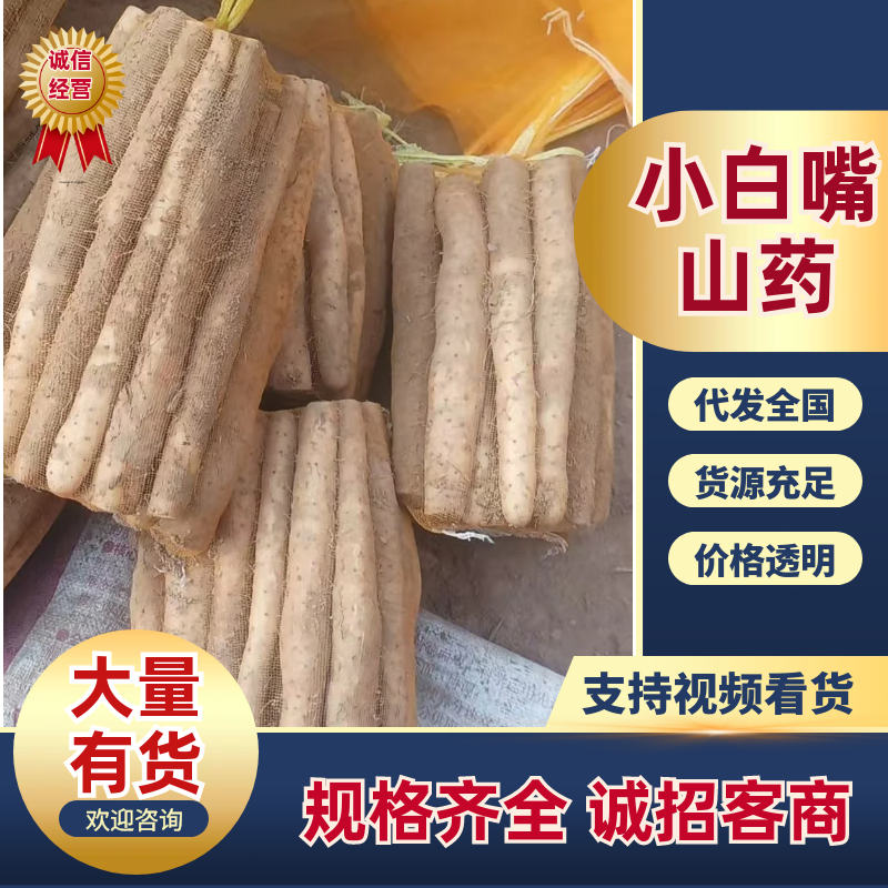 河北原产地双棒山药原生态沙土耕种软糯香甜多规格蔬菜批发