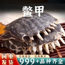 龟甲里中药材批发龟甲里正品安国中药材批发鳖甲