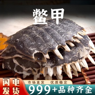 龟甲里中药材批发龟甲里正品安国中药材批发鳖甲