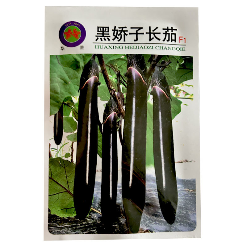 华星黑娇子长茄种子早熟长粗黑亮茄子丰产抗病基地型