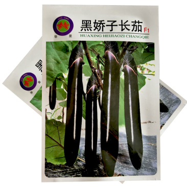华星黑娇子长茄种子早熟长粗黑亮茄子丰产抗病基地型