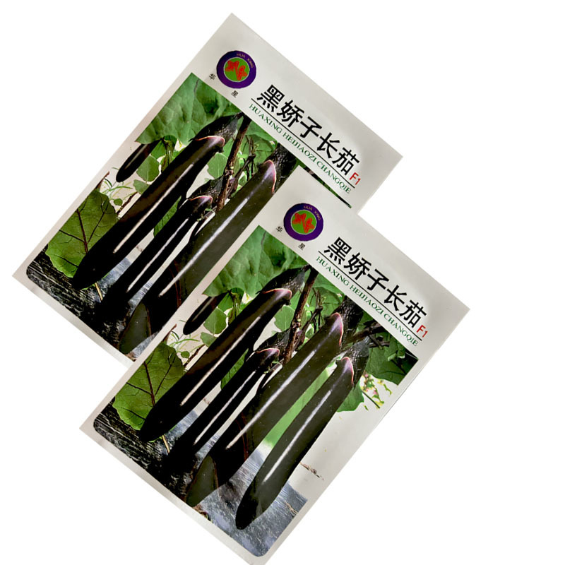 华星黑娇子长茄种子早熟长粗黑亮茄子丰产抗病基地型