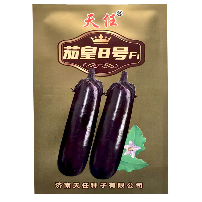 天任茄皇8号黑亮长棒茄子种子5g早熟广佳紫萼基地型