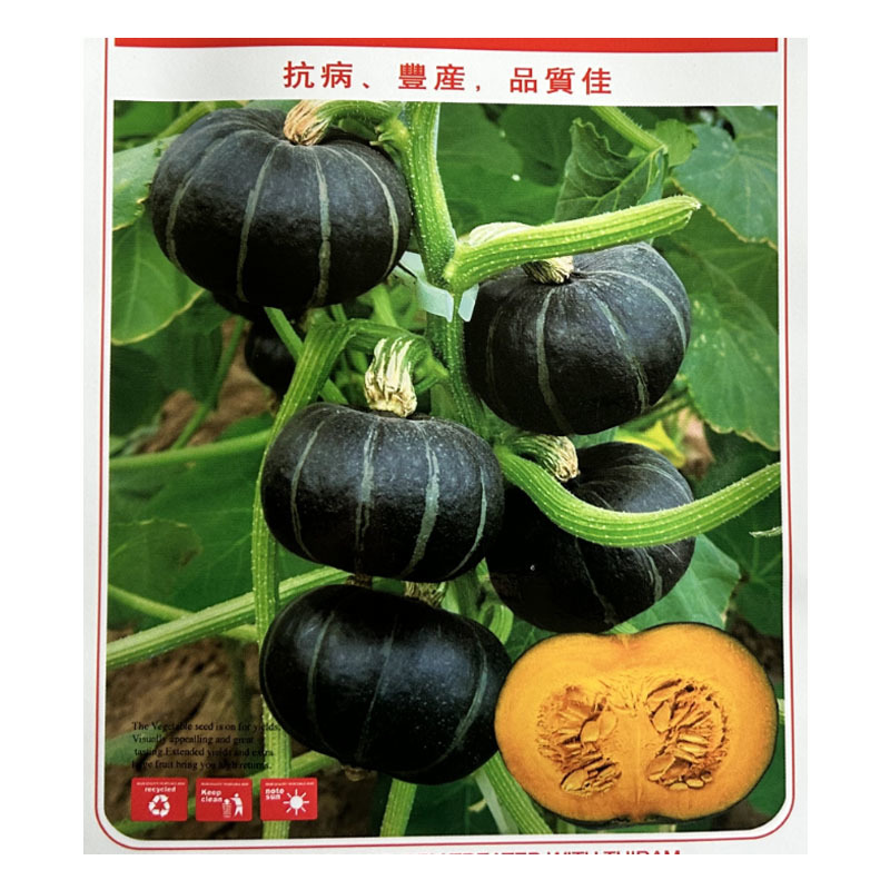 盛丰贝贝南瓜种子板栗小南瓜迷你型小南瓜种籽粉糯扁圆甘甜面