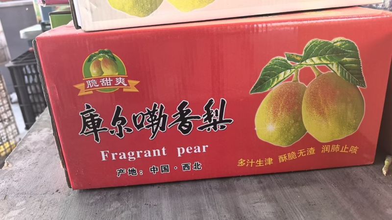 【优选】秋月梨红香酥梨一件代发对接电商大厂供货量大