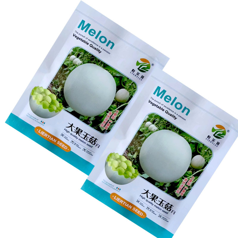 大果玉菇甜瓜种子软糯甜绿肉玉姑甜瓜含糖18度肉厚腔小