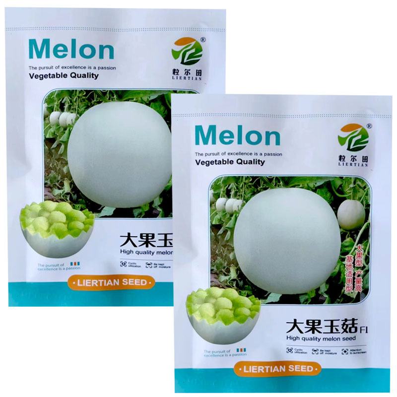大果玉菇甜瓜种子软糯甜绿肉玉姑甜瓜含糖18度肉厚腔小