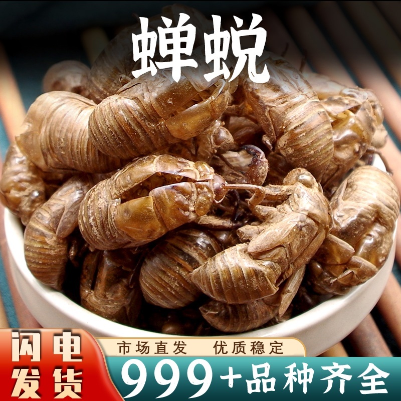 中药材蝉蜕批发蝉壳蝉衣知了皮虫蜕水洗大个无土安国中药材