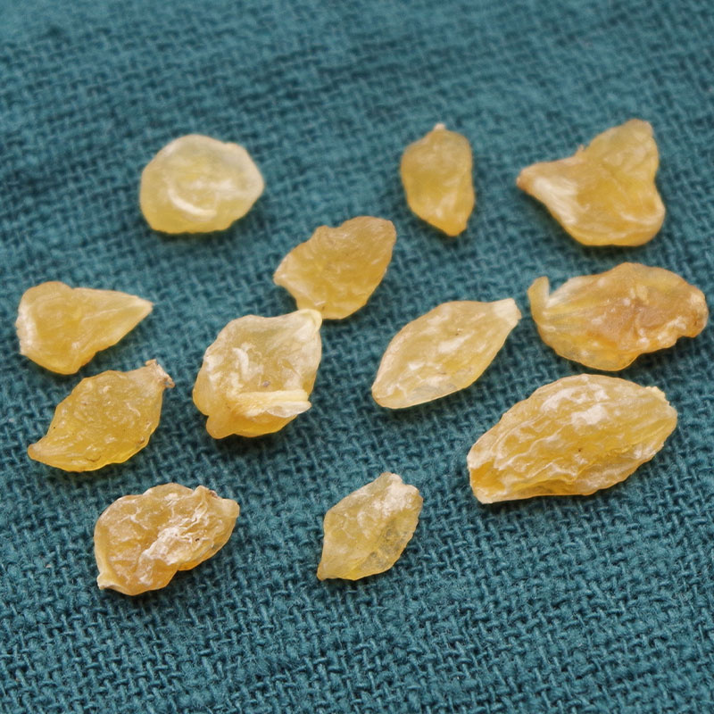 薤白中药材新鲜野葱头薤白头非野生小山蒜泄白新鲜晒干货批发
