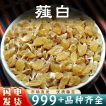 薤白中药材新鲜野葱头薤白头非野生小山蒜泄白新鲜晒干货批发