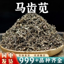 马齿苋中药材批发马齿苋泡水马齿苋干中药材非馅用马齿苋
