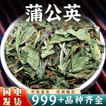 蒲公英中药材安国中药材批发优质蒲公英