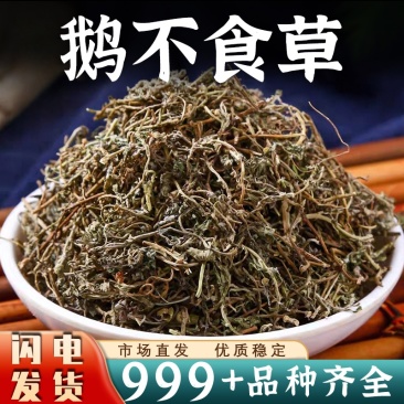 鹅不食草中药材新鲜鹅不吃草石胡荽新干货安国中药材批发