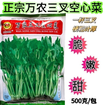 万农三叉空心菜种子一籽三叉生长快产量高旱地水田皆可种植