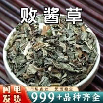 败酱草中药材黄花败酱草茶新鲜非粉野生败酱草中草药干货批发