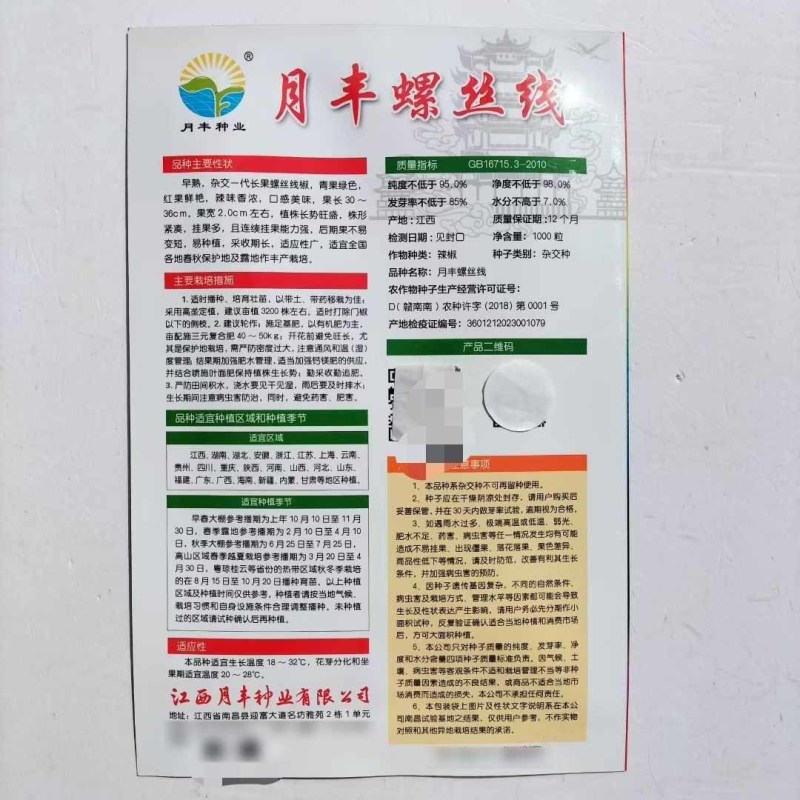 月丰螺丝线椒种子杂交一代长果螺丝椒种籽香辣早熟大田基地