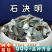 石决明中药材批发新货生石决明千里光安国中药材批发