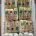 江苏精品小娃娃菜产地一手货源品质保证全国发货