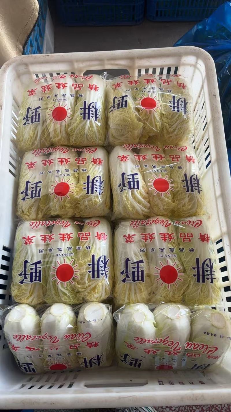 江苏精品小娃娃菜产地一手货源品质保证全国发货