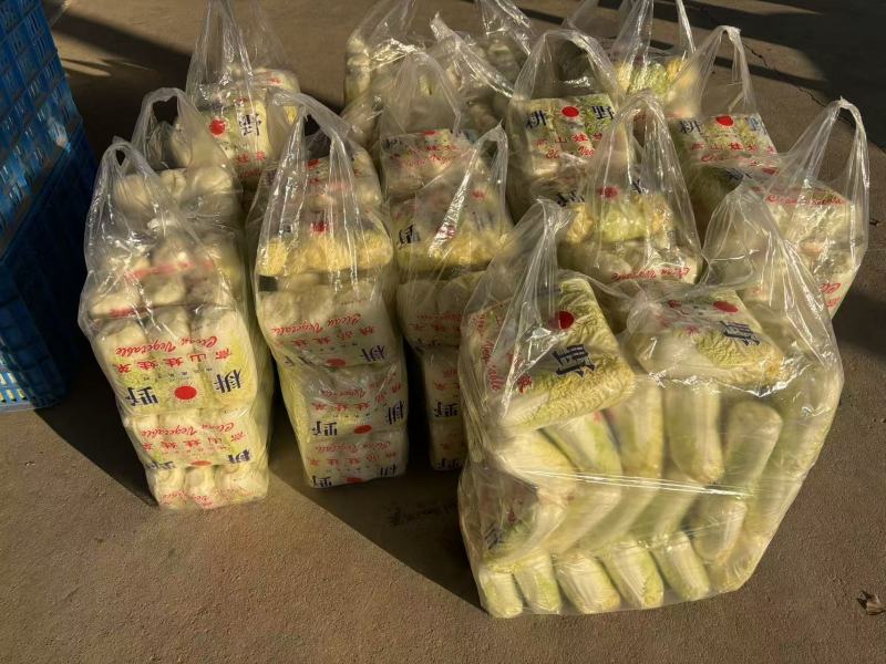黄心白菜货源充足对接市场电商商超等可实地看货