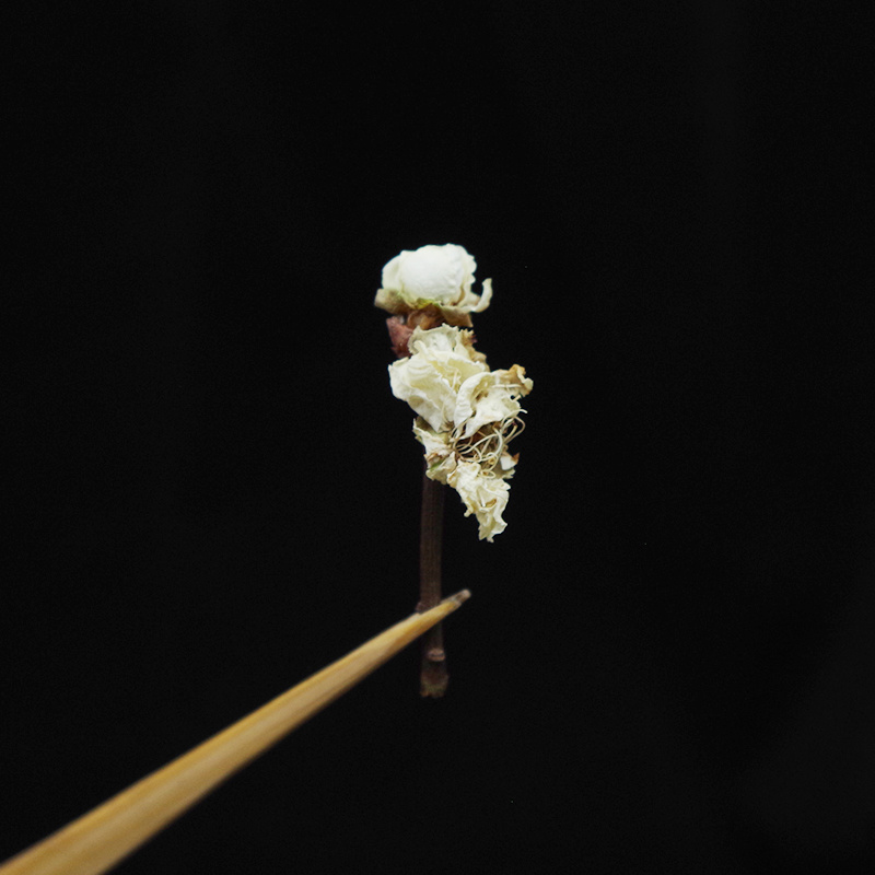 绿萼梅中药材白梅花干花泡水绿梅花安国中药材批发白梅花