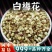 绿萼梅中药材白梅花干花泡水绿梅花安国中药材批发白梅花