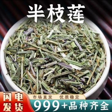 半枝莲中药材批发新鲜非野生半枝莲草药韩信草安国中药材批发