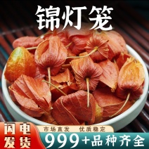 中药材锦灯笼泡水红姑娘皮安国中药材批发锦灯笼