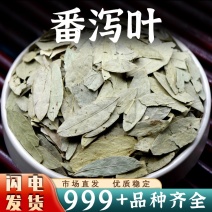 批发番泻叶中药材茶泻叶茶翻泻叶潘泻叶片安国中药材