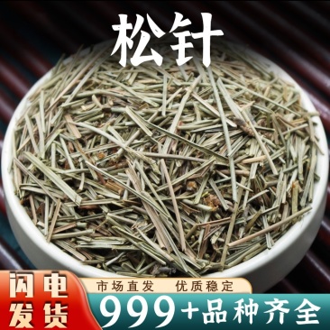 中药材松针松针马尾松针针叶安国中药材批发松针