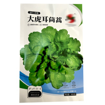 大虎耳茼蒿种子大叶茼蒿籽皇帝菜4000粒春秋种植基地型