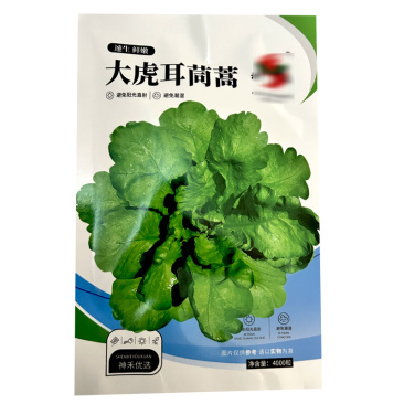 大虎耳茼蒿种子大叶茼蒿籽皇帝菜4000粒春秋种植基地型