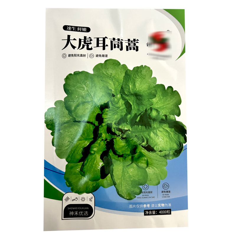 大虎耳茼蒿种子大叶茼蒿籽皇帝菜4000粒春秋种植基地型