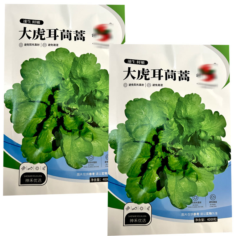 大虎耳茼蒿种子大叶茼蒿籽皇帝菜4000粒春秋种植基地型